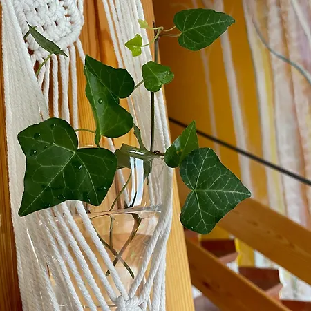 Espejo Del Tietar Ferienhaus *