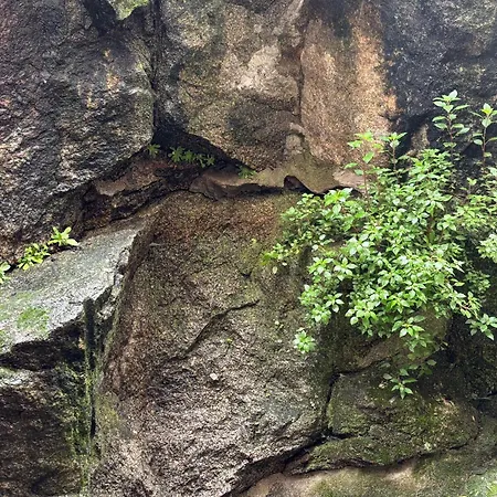 Espejo Del Tietar * Pedro Bernardo