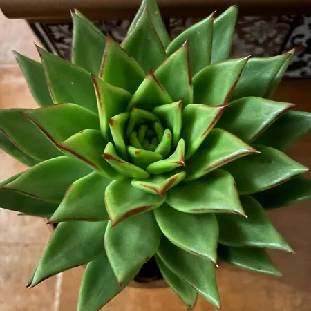 Espejo Del Tietar Ferienhaus