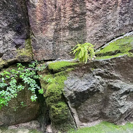 Espejo Del Tietar - La Comodidad De Banos En 펜션