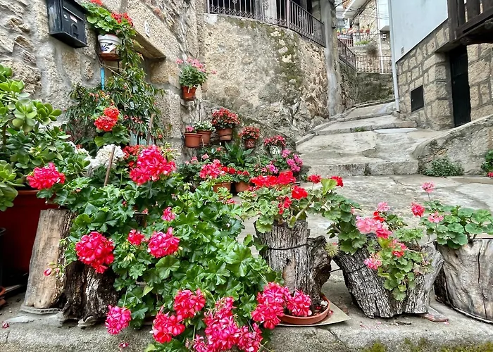 Espejo Del Tietar - La Comodidad De Banos En 펜션