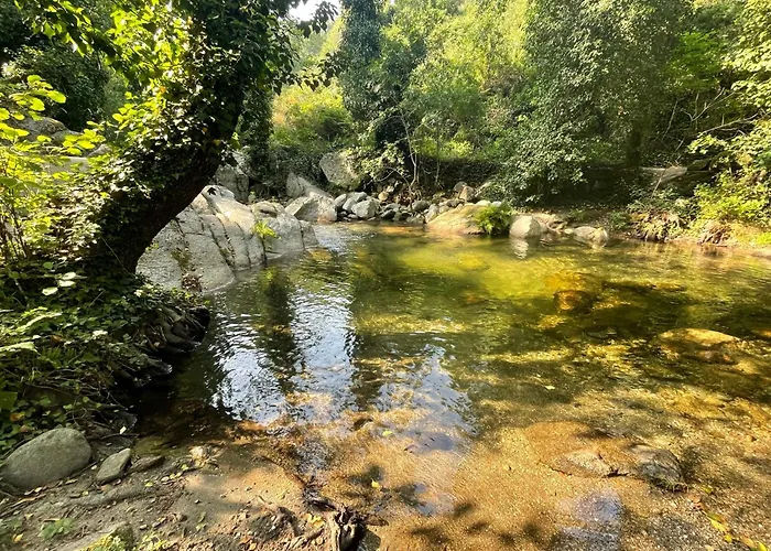 Espejo Del Tietar - La Comodidad De Banos En 펜션