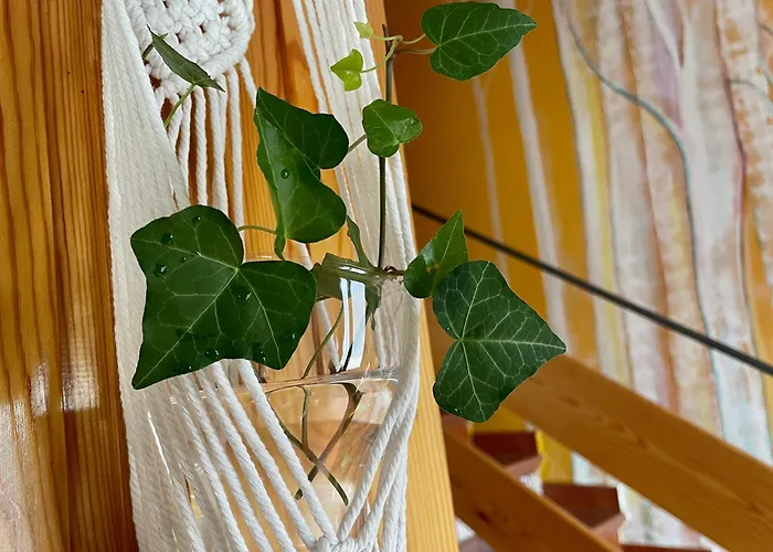 Espejo Del Tietar - La Comodidad De Banos En 펜션 *