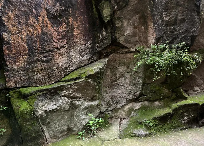 펜션 Espejo Del Tietar - La Comodidad De Banos En