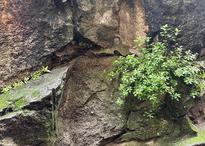 Espejo Del Tietar - La Comodidad De Banos En * Pedro Bernardo