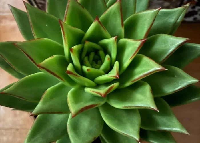 Espejo Del Tietar - La Comodidad De Banos En 펜션