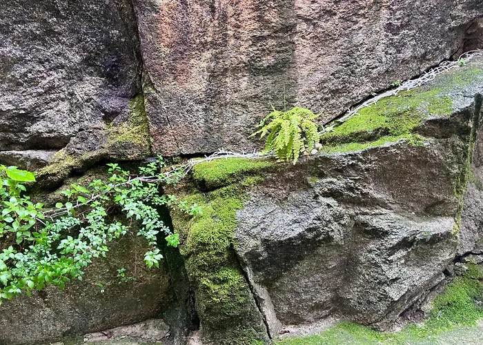 Espejo Del Tietar - La Comodidad De Banos En 펜션
