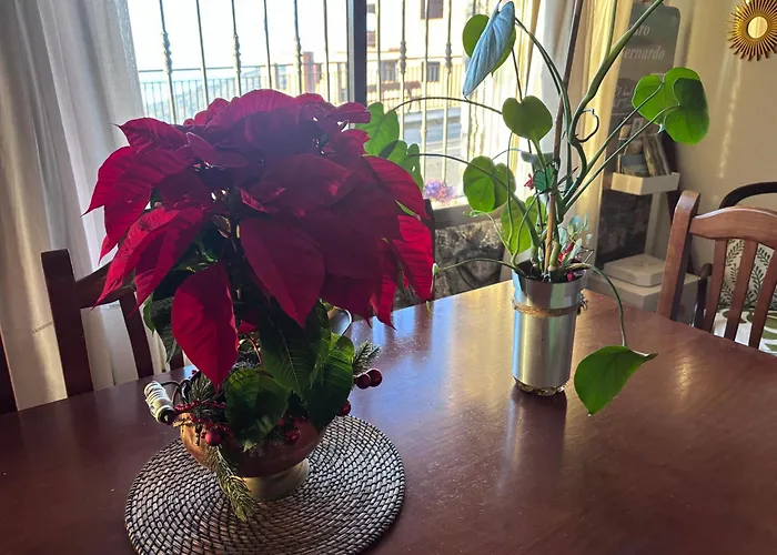 Espejo Del Tietar - La Comodidad De Banos En